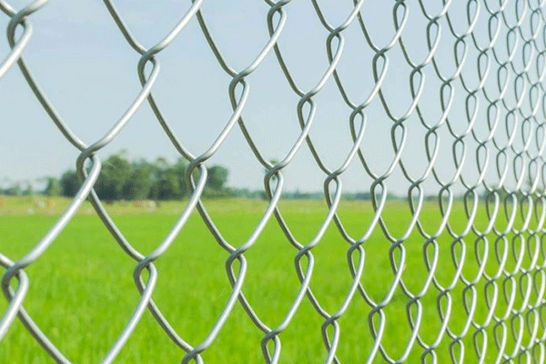 قیمت توری مرغی در دی 1403